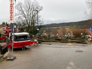 Baumfällung mit Autokran. 