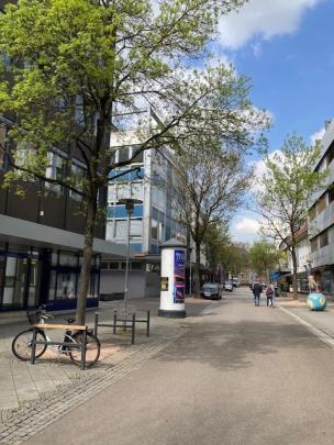 Städtbäume in der Fußgängerzone. 